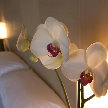 Szálloda Abruzzo Marina Hotel - Family & Beach Resort 4*