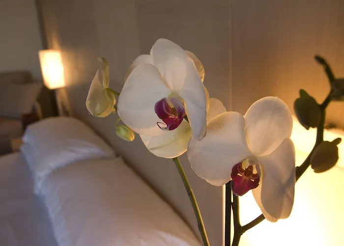 Hotel Abruzzo Marina Hotel - Family & Beach Resort 4*